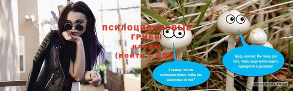 МДМА Алексеевка