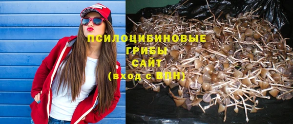 МДМА Алексеевка