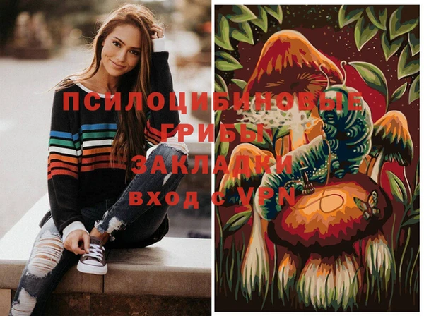 амф Алексин