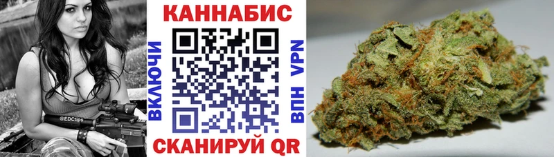 Конопля сатива Брянск